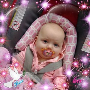 Meet your Posher, Lacy